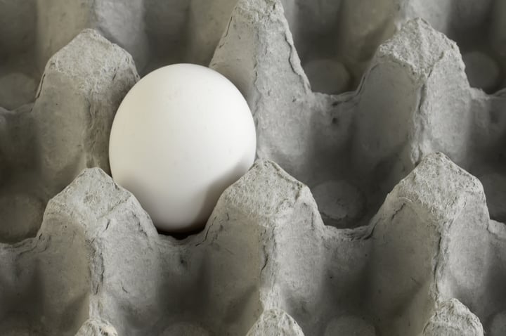 single white egg in empty cardboard carton